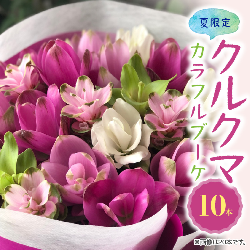 【夏限定】花もち抜群！碧南市産「クルクマ」 カラフルブーケ 10本をかわいく花束にしてお届け H174-001