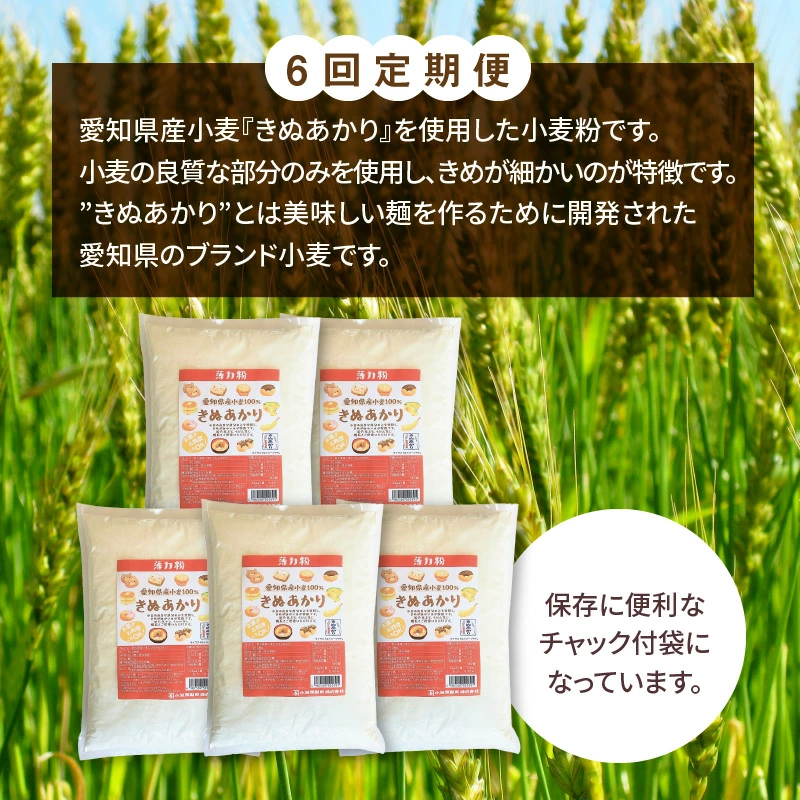 【小麦粉】愛知県産 きぬあかり 国産 薄力粉 1kg×5袋(計5kg) 定期便6回　H008-247