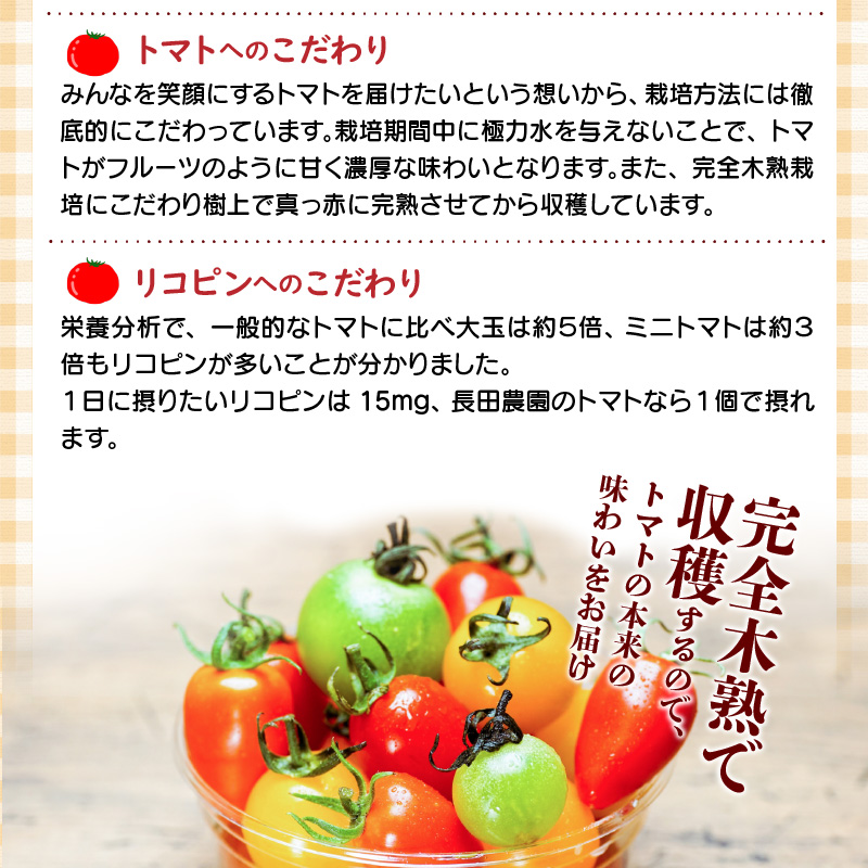 【個数限定】おすすめトマト3種 食べ比べ 1.2～1.5kg　長田農園しかできない夢の共演 野菜ソムリエサミット 金賞 受賞 長田農園 産地直送 トマト とまと 野菜 やさい フルーツ サラダ 濃厚 甘い ご褒美 プレゼント 美容 健康 リピート多数 人気 高評価 数量限定 碧南市 H004-148
