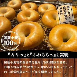 わっぱ堂 ふわもち ベーグル セット 詰め合わせ 10種 バラエティー 豊富 いちじく 抹茶 ブルーベリー チーズ ベーコン 国産 小麦 自家製 厳選 個包装 保存 便利 パン 食品 朝食 おやつ お取り寄せ グルメ 愛知県 碧南市 送料無料 H049-045