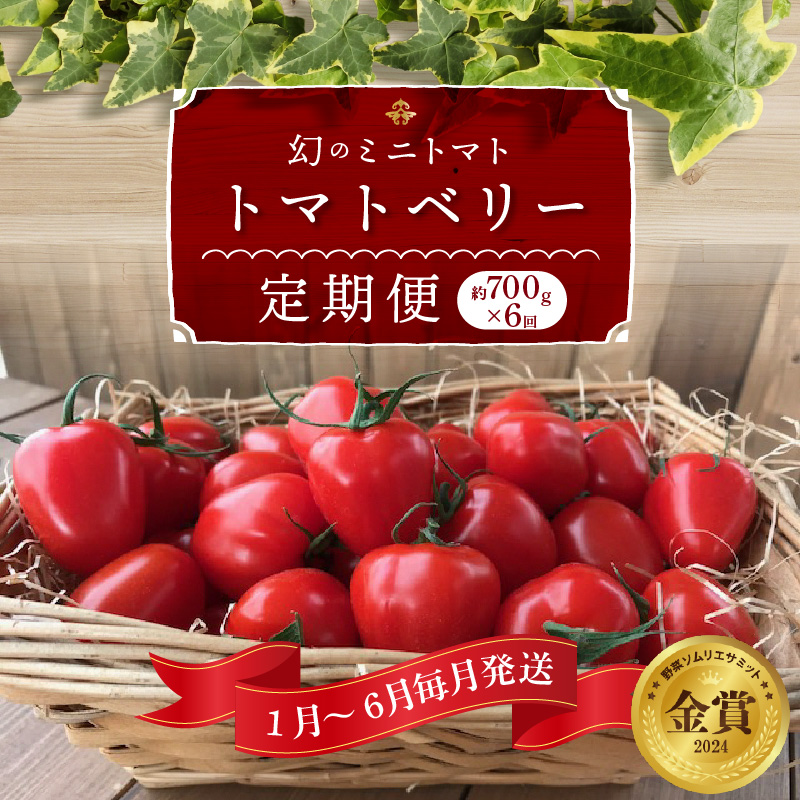 1月～6月毎月発送 　幻のミニトマト トマトベリーの定期便 約700g×6回コース ソムリエサミット 金賞 受賞 長田農園 産地直送 トマト とまと 野菜 やさい フルーツ サラダ 濃厚 甘い ご褒美 プレゼント 美容 健康 リピート多数 人気 高評価 数量限定 碧南市 H004-169