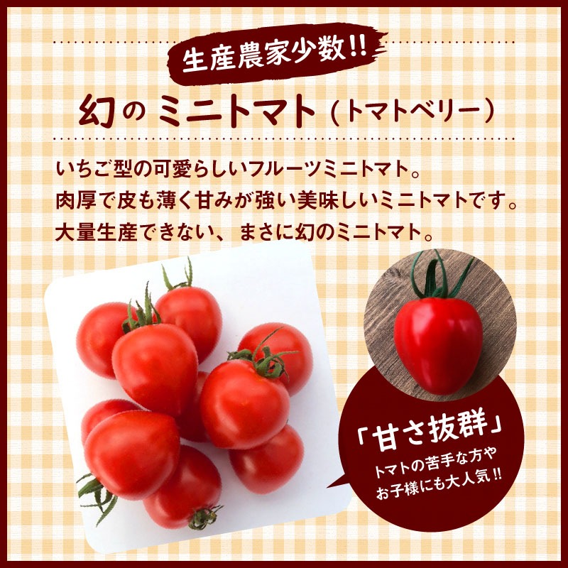 1月～6月毎月発送 　幻のミニトマト トマトベリーの定期便 約700g×6回コース　H004-169