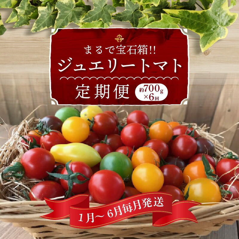 【先行受付】2027年1月～6月毎月発送　まるでトマトの宝石箱！ジュエリートマトの定期便　約700g×6回コース　H004-210