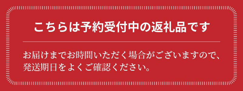 【先行受付】2027年1月～6月毎月発送　まるでトマトの宝石箱！ジュエリートマトの定期便　約700g×6回コース　H004-210