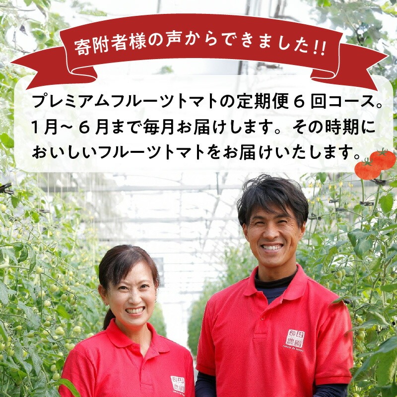 【先行受付】2027年1月～6月毎月発送　プレミアムフルーツトマトの定期便　約700g×6回コース　H004-211