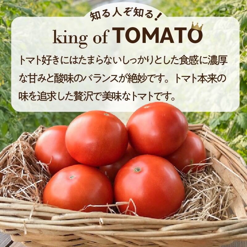 【先行受付】2027年1月～6月毎月発送　プレミアムフルーツトマトの定期便　約700g×6回コース　H004-211