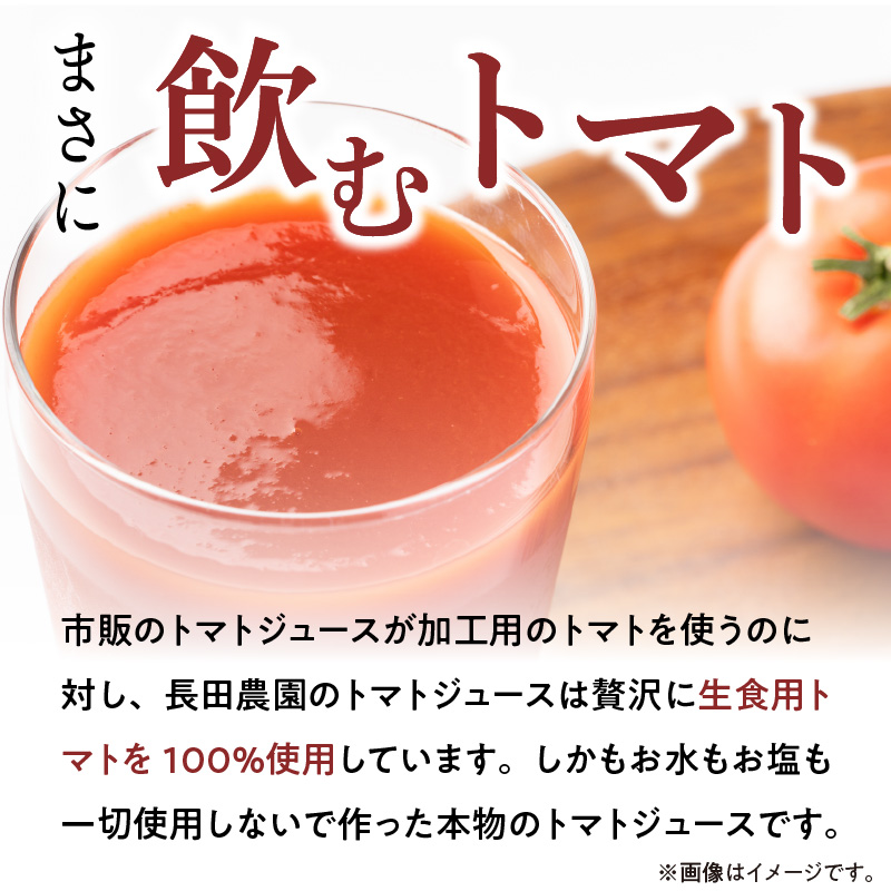 トマト100%無塩・無添加　本当に贅沢なトマトジュース 720ml×2本 H004-154