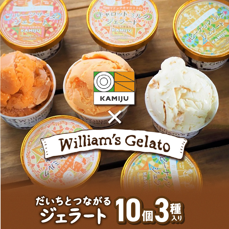 【3種のフレーバーを食べ比べ!!】だいちとつながるジェラート10個セット 映えるデザインが可愛いと話題に!! マドンナキャロット 地元野菜 甘い アイス スイーツ デザート 洋菓子 可愛い 詰め合わせ キャロットミルク フルーツサラダ ピーナッツミルク 自慢 冷たい にんじん 人参 落花生 ピーナッツ 農家 神重農産 H105-171