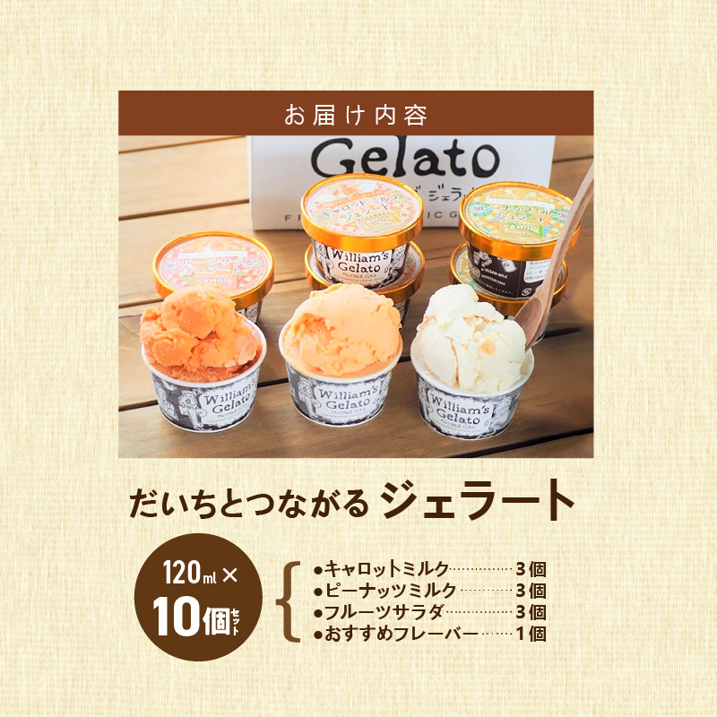 【3種のフレーバーを食べ比べ!!】だいちとつながるジェラート10個セット 映えるデザインが可愛いと話題に!! マドンナキャロット 地元野菜 甘い アイス スイーツ デザート 洋菓子 可愛い 詰め合わせ キャロットミルク フルーツサラダ ピーナッツミルク 自慢 冷たい にんじん 人参 落花生 ピーナッツ 農家 神重農産 H105-171