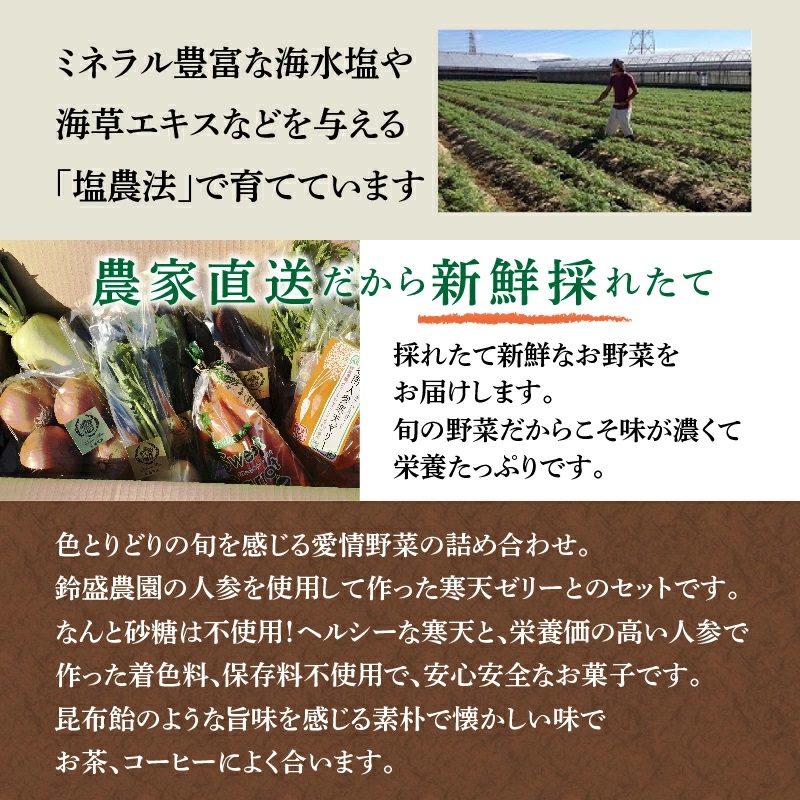 鈴盛農園”旬”の愛情野菜と碧南人参寒天ゼリー H022-011