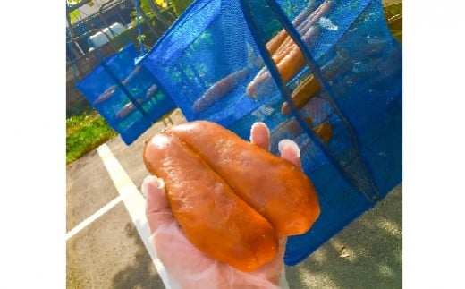 【数量限定】創業100年の日本料理店が作る 1段重 おせち(3人前) 冷蔵 2027年 創業大正九年 日本料理 小伴天 料亭 伊勢海老 アワビ うなぎ 数の子 栗きんとん からすみ いくら 贈り物 おせち料理 お正月 正月料理 人気 高リピート H007-088