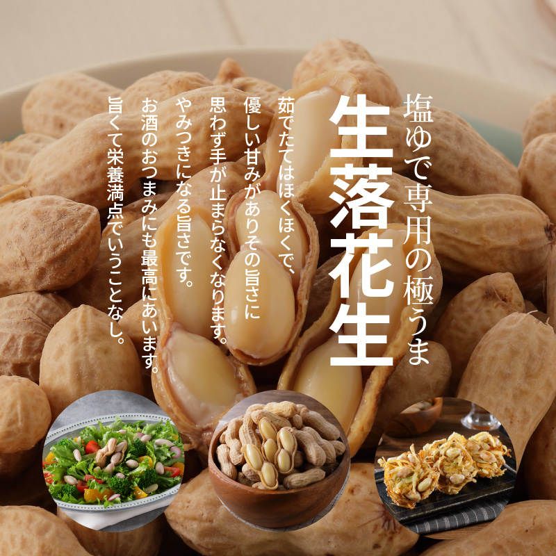 【2026年発送】事前予約 やみつき極うま “金の生落花生” 300g 生ピーナッツ 塩ゆで専用　H105-194