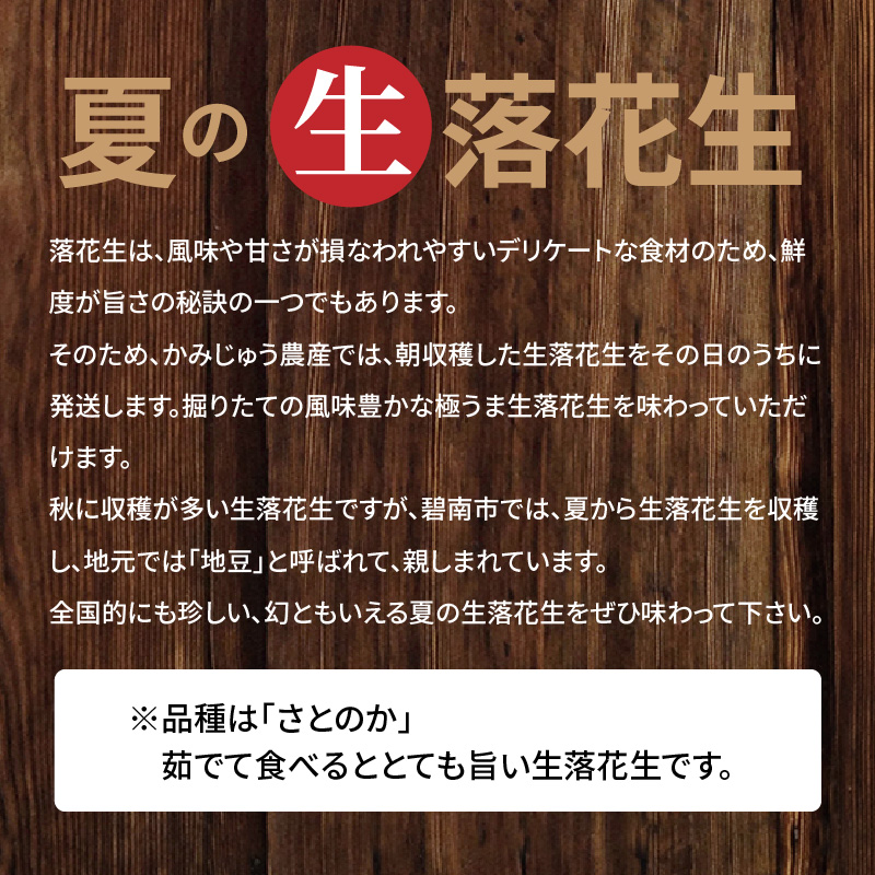 【2025年発送】事前予約 やみつき極うま “金の生落花生” 300g 生ピーナッツ 塩ゆで専用　H105-140