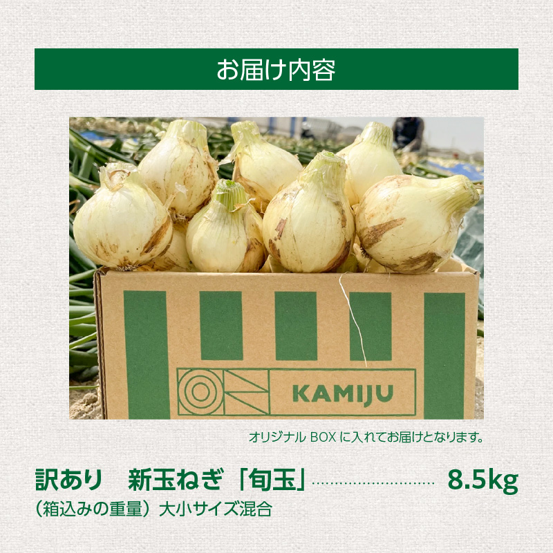 【福箱★2026】訳あり 新玉ねぎ 旬玉 8.5kg 生がおいしい神重農産のブランド玉ねぎ H105-169