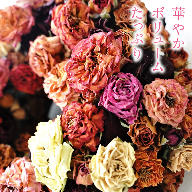 【地産地消】バラづくしの華やぎドライフラワーリース  4色以上のバラを使用 壁掛け可能 インテリア プレゼント H092-060
