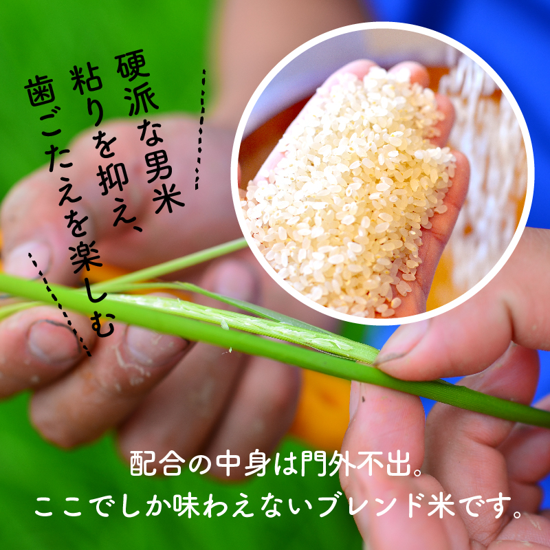 【五ツ星お米マイスター】 碧南紳士 坂本くん こだわりのブレンド米 コメ 白米 精米 H056-147