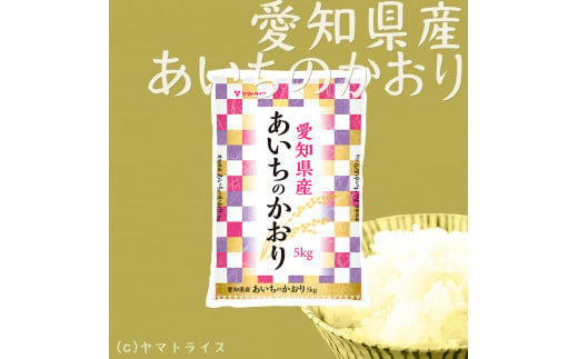 【精米】12回定期便 愛知県産あいちのかおり 100kg（5kg×20袋）　安心安全なヤマトライス 米 白米 国産 大容量 5キロ こめ コメ ごはん　H074-617