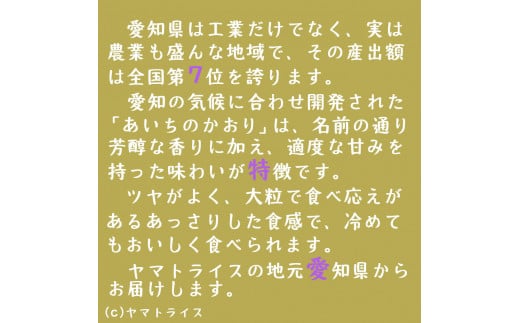 【精米】12回定期便 愛知県産あいちのかおり 100kg（5kg×20袋）　安心安全なヤマトライス 米 白米 国産 大容量 5キロ こめ コメ ごはん　H074-617