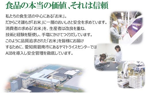 【精米】12回定期便 愛知県産あいちのかおり 100kg（5kg×20袋）　安心安全なヤマトライス 米 白米 国産 大容量 5キロ こめ コメ ごはん　H074-617