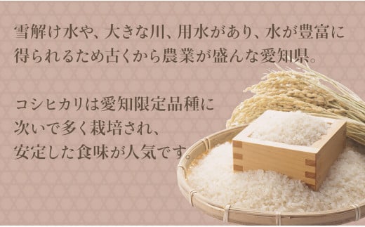 【精米】6回定期便 愛知県産コシヒカリ 100kg（5kg×20袋） 安心安全なヤマトライス 米 白米 国産 精米 大容量 5キロ　H074-624