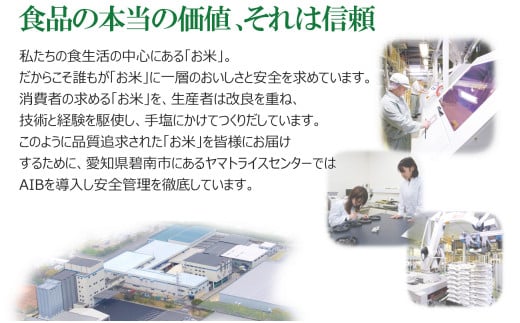 【精米】6回定期便 愛知県産コシヒカリ 100kg（5kg×20袋） 安心安全なヤマトライス 米 白米 国産 精米 大容量 5キロ　H074-624