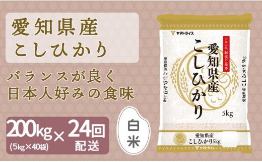 【精米】24回定期便 愛知県産コシヒカリ 200kg（5kg×40袋） 安心安全なヤマトライス 米 白米 国産 精米 大容量 5キロ　H074-630