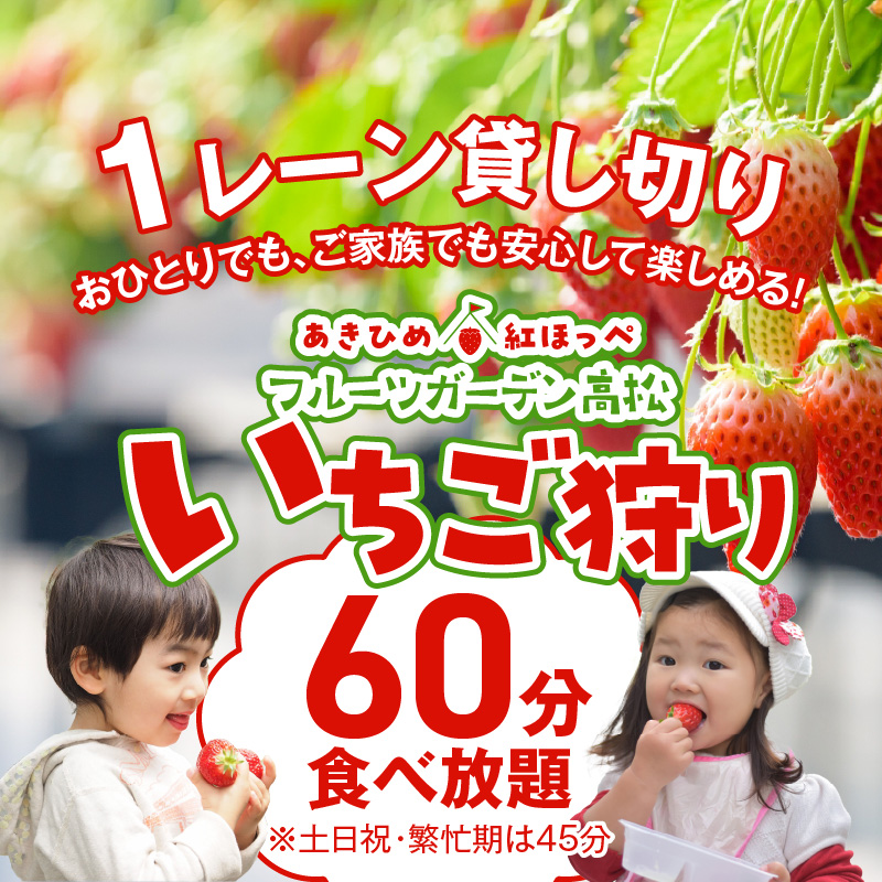 【1レーン貸切・最大60分食べ放題（土日祝・繁忙期は45分）】いちご狩り券（３才以上）1名様　愛知 体験 チケット くだもの狩り フルーツ狩り H175-006