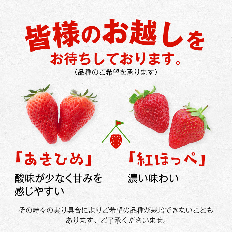 【1レーン貸切・最大60分食べ放題（土日祝・繁忙期は45分）】いちご狩り券（３才以上）1名様　愛知 体験 チケット くだもの狩り フルーツ狩り H175-006