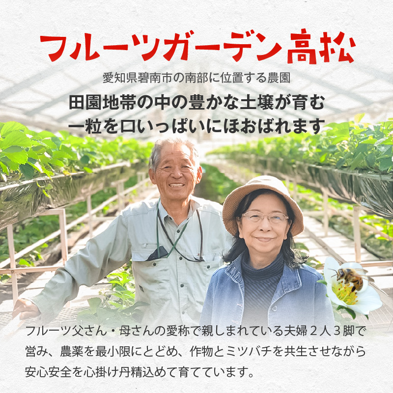 【1レーン貸切・最大60分食べ放題（土日祝・繁忙期は45分）】いちご狩り券（３才以上）1名様　愛知 体験 チケット くだもの狩り フルーツ狩り H175-006