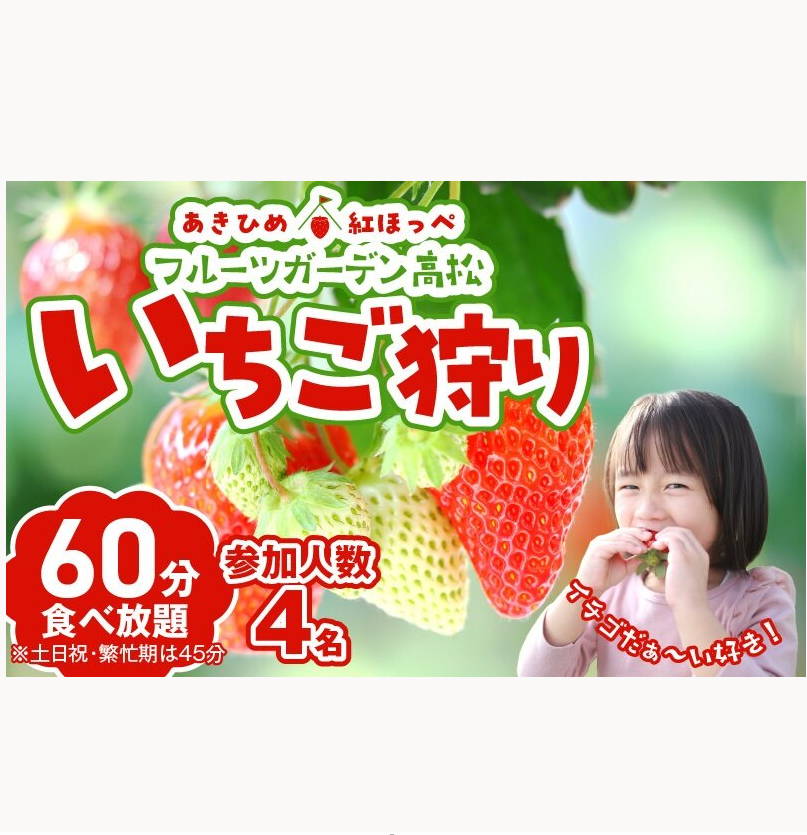 【1レーン貸切・最大60分食べ放題（土日祝・繁忙期は45分）】いちご狩り券 4名様（３才以上）愛知 体験 チケット くだもの狩り フルーツ狩り H175-009