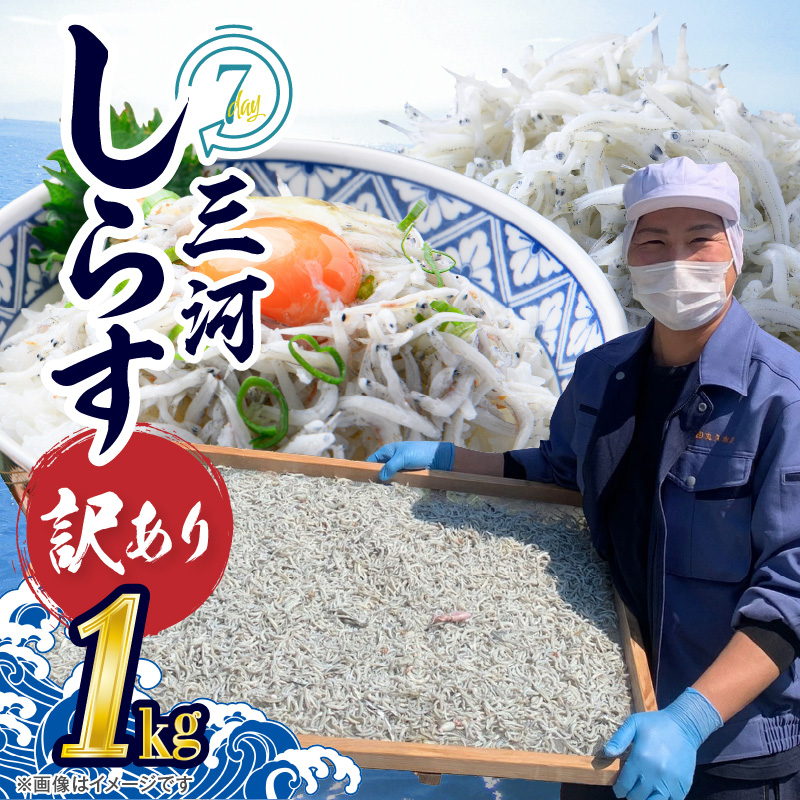 訳あり こモリ1kg！バラエティ豊富な三河しらす～海の仲間たち～　H018-046