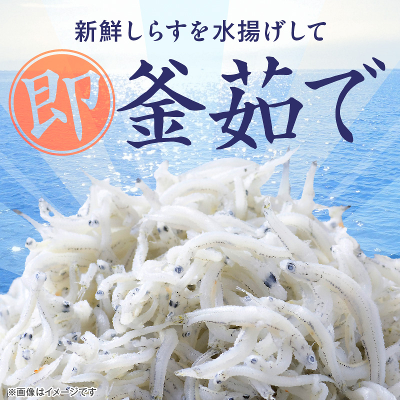 訳あり 小モリ1kg！バラエティ豊富な三河しらす～海の仲間たち～　H018-046