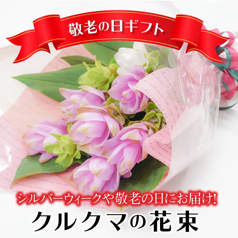 【2024年 敬老の日】暑さに強い花　クルクマの花束　H092-050