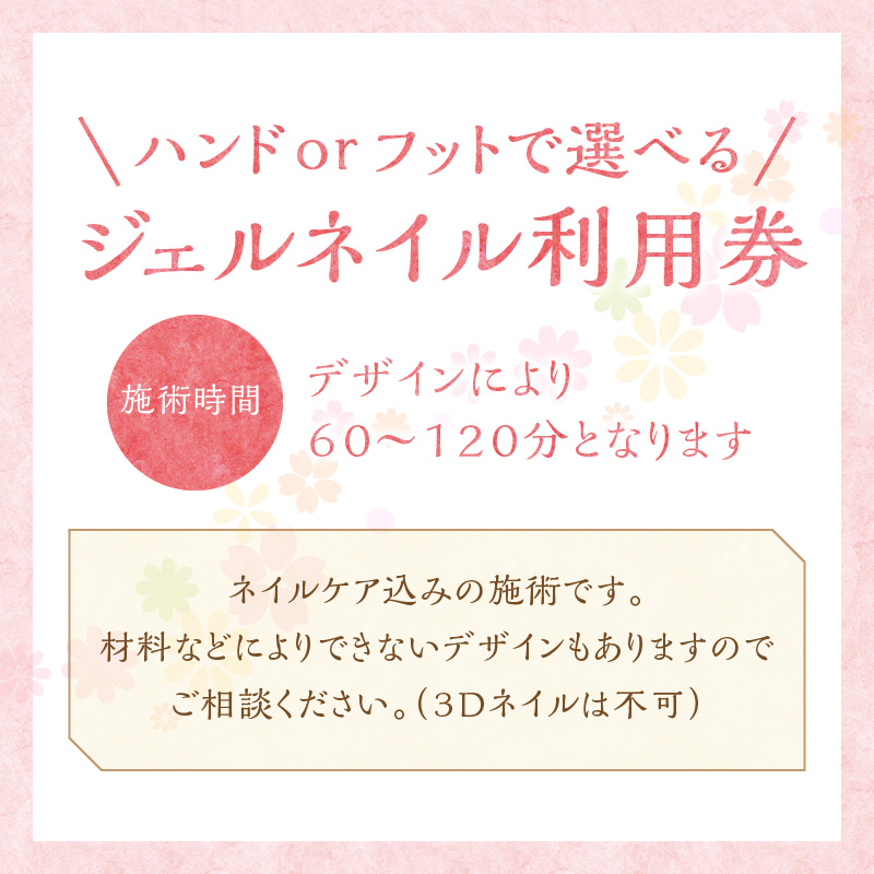 ジェルネイル ハンドorフット　利用券（１名様１回分）ネイル リラクゼーション サロン プライベート　H178-005