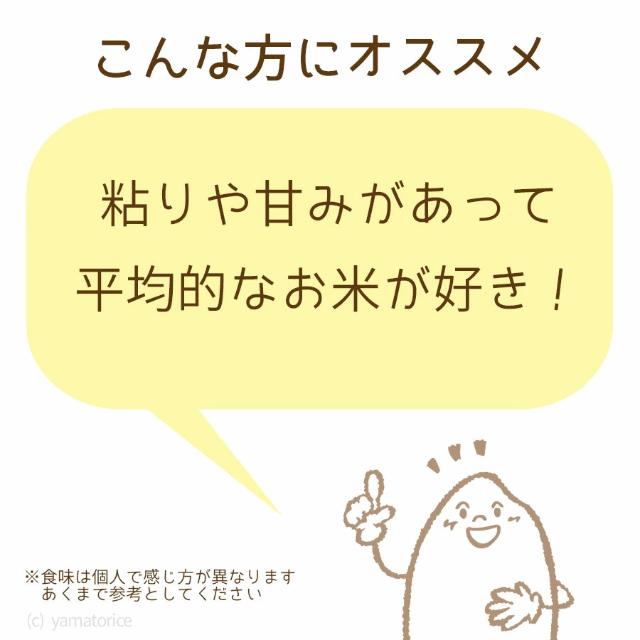 愛知県産コシヒカリ 10kg(5kg×2袋)　安心安全なヤマトライス　H074-549