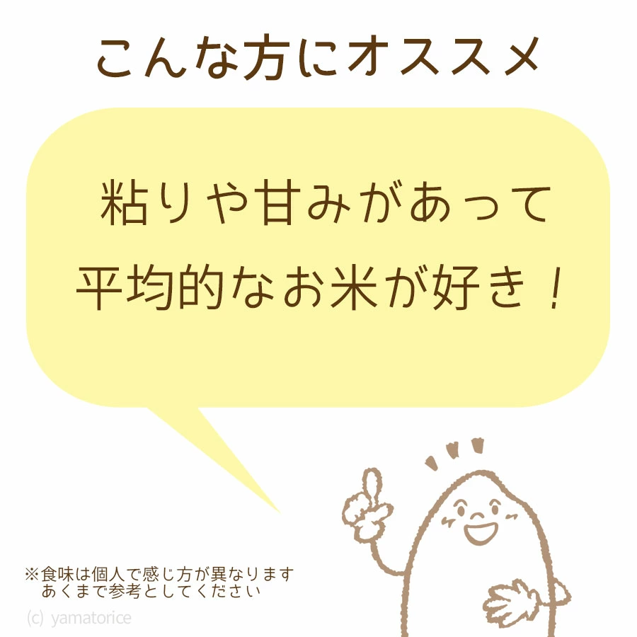 【すぐにお届け&日時指定可】 愛知県産コシヒカリ 10kg(5kg×2袋)　こめ コメ ごはん 安心安全なヤマトライス 米 白米 国産 精米 10キロ　H074-608