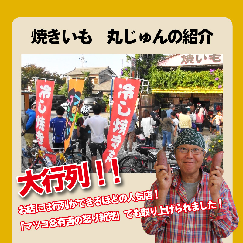 【全3回】 毎月お届け 冷やし焼き芋３種食べ比べセット 約1kg×3回 定期便 芋スイーツ H047-036