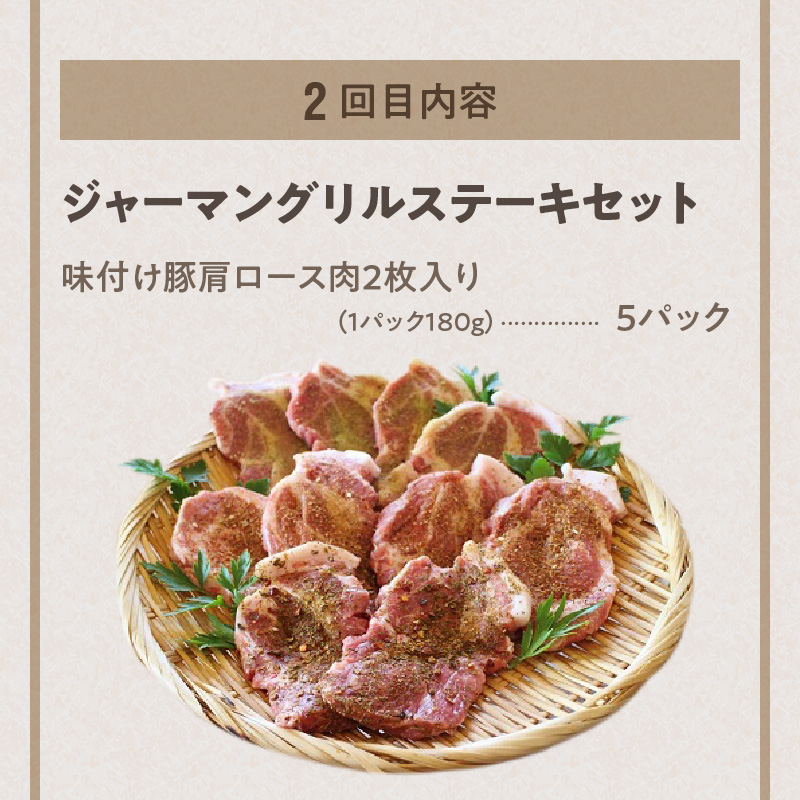 【定期便6回お届け】手作りハム工房シュヴァインハイムの満喫セット H003-039