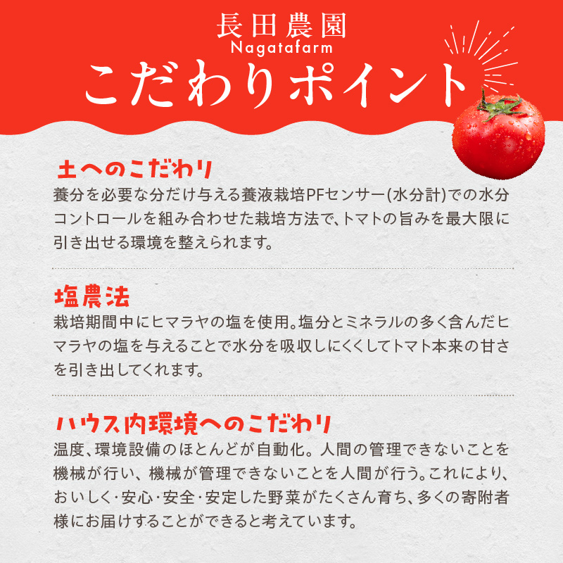 【先行受付】11月～6月毎月発送　まるで宝石箱!!ジュエリートマトの定期便　8回コース【個数限定】　H004-192