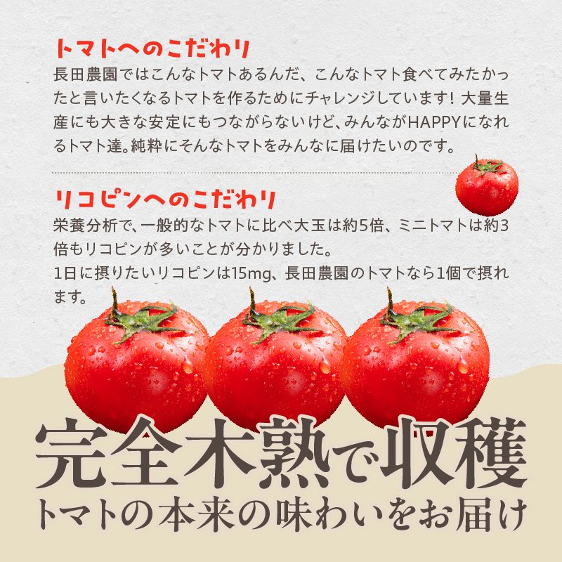 【先行受付】11月～6月毎月発送　まるで宝石箱!!ジュエリートマトの定期便　8回コース【個数限定】　H004-192
