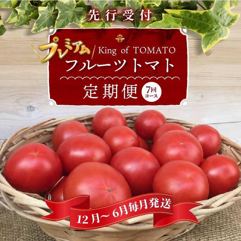 【先行受付】12月～6月毎月発送　プレミアムフルーツトマトの定期便　7回コース　H004-193