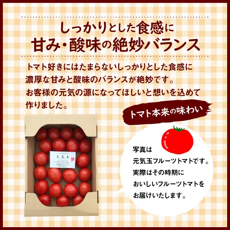【先行受付】12月～6月毎月発送　プレミアムフルーツトマトの定期便　7回コース　H004-193
