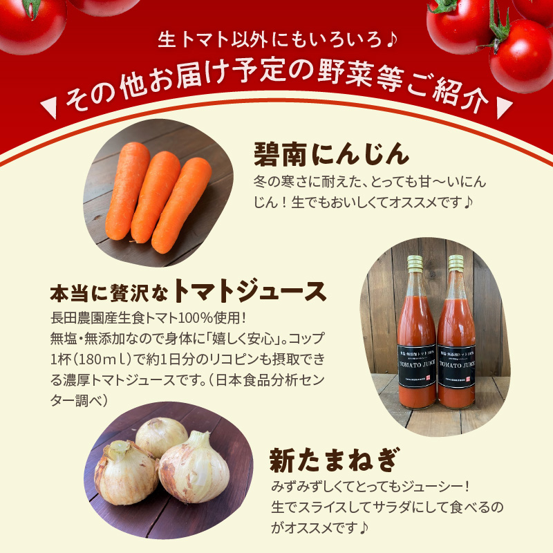 【先行受付】個数限定 トマト 定期便 全8回 溢れる 果汁 さくらんぼトマト 独創的 果肉 食感 いちごトマト 色 形 さまざま ジュエリートマト 濃厚 甘み 酸味 バランス 絶妙 フルーツトマト 碧南にんじん トマトジュース 新たまねぎ 野菜 愛知県 碧南市 送料無料  H004-207
