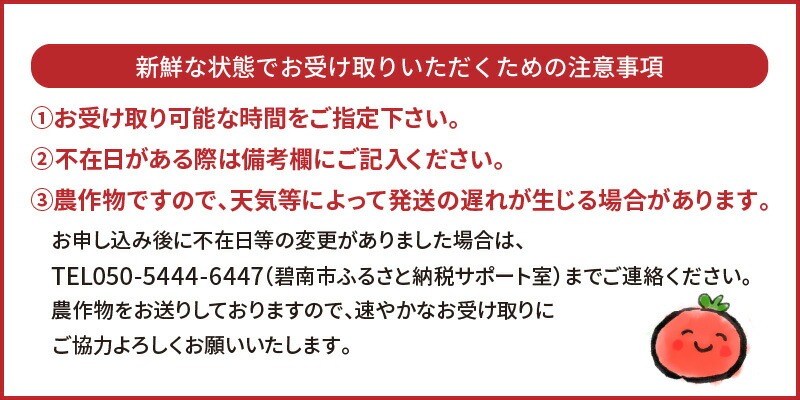 1月～6月毎月発送　プレミアムフルーツトマトの定期便　約700g×6回コース　H004-171