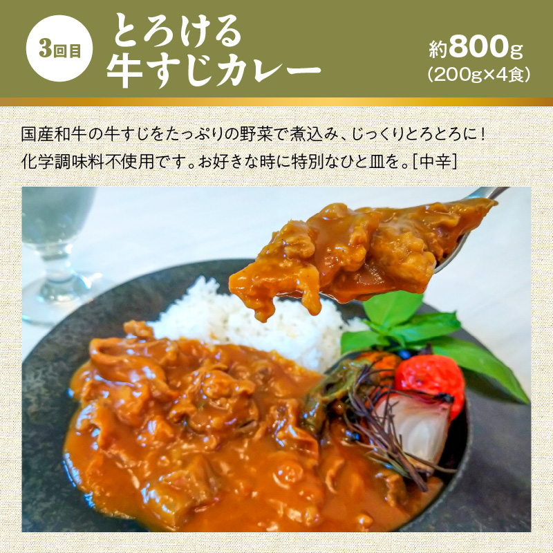 【無添加】碧南DELIシリーズ お肉と惣菜の定期便 6回お届け（6種食べ比べコース 4人前） 時短料理 お手軽 温めるだけ お惣菜 お取り寄せ 冷凍 おいしい オムライス ハンバーグ 牛すじ カレー H080-057