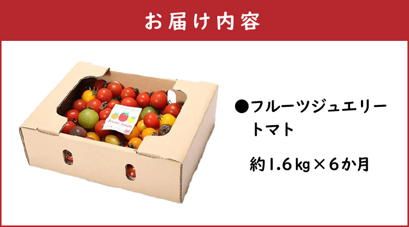 1月～6月毎月発送　まるでトマトの宝石箱！ジュエリートマトの定期便　6回コース　H004-164