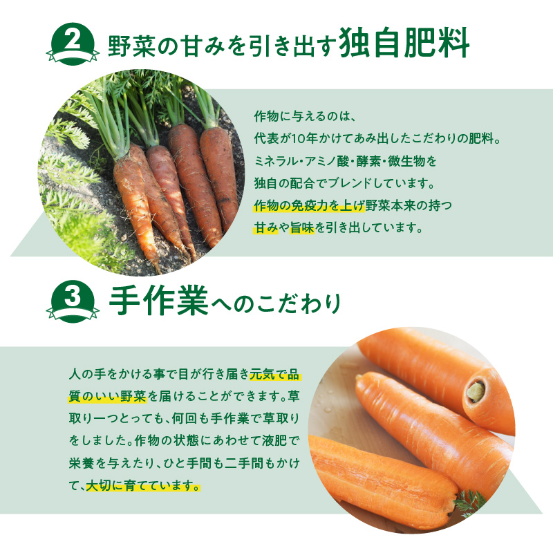 ＜フジテレビ『どっちのふるさと？』で紹介されました！＞ 訳あり 冬期限定 にんじん マドンナキャロット 容量 7kg 先行予約 国産 甘い フルーツのような味わい お子様にもおすすめ 栄養 神重農産 野菜 愛知県 碧南市 送料無料 H105-135