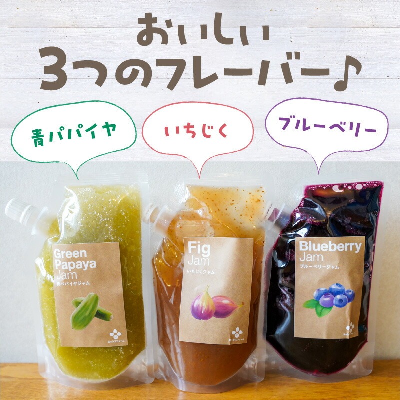 無添加 青パパイヤ・いちじく・ブルーベリーのジャム 3色セット H164-006