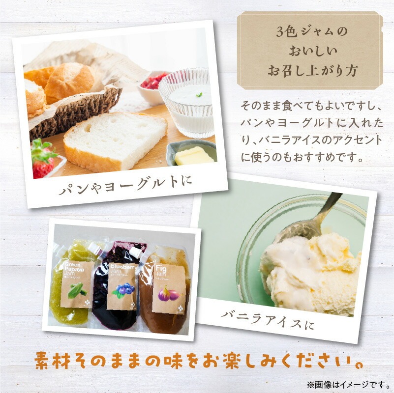 無添加 青パパイヤ・いちじく・ブルーベリーのジャム 3色セット H164-006