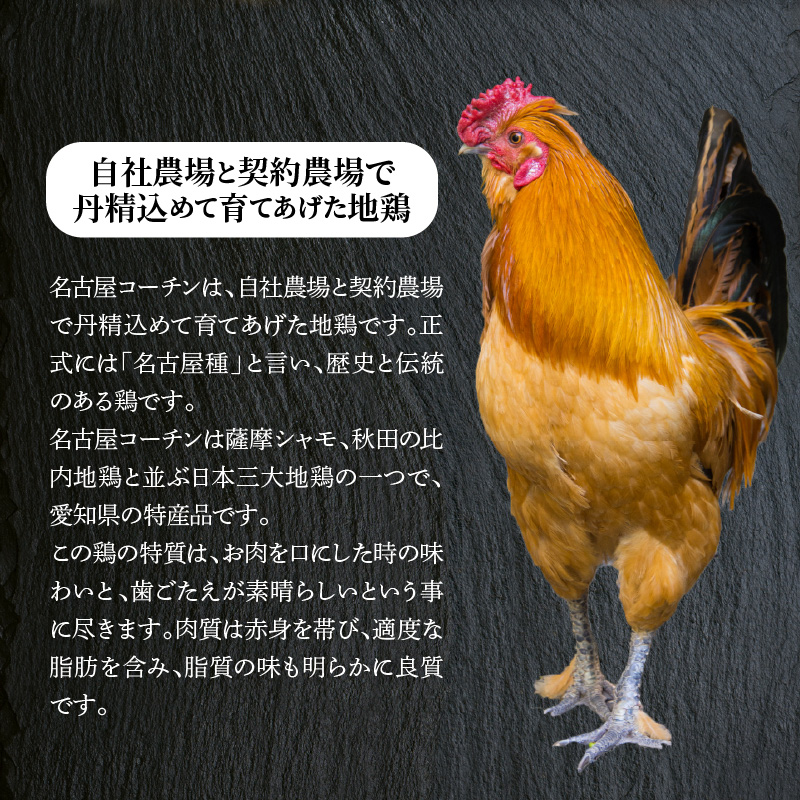 【白だしを使った和風ご当地餃子】 白だしの元祖 七福醸造の白だし使用 名古屋コーチン鶏餃子 36個入り 日時指定可 肉汁たっぷり 鶏餃子 冷凍 ぎょうざ ギョーザ 七福醸造 白だしの元祖 H001-093